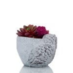 Flower with Pot - H02FL364