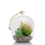 Hanging Glass Terrarium - H02FL397