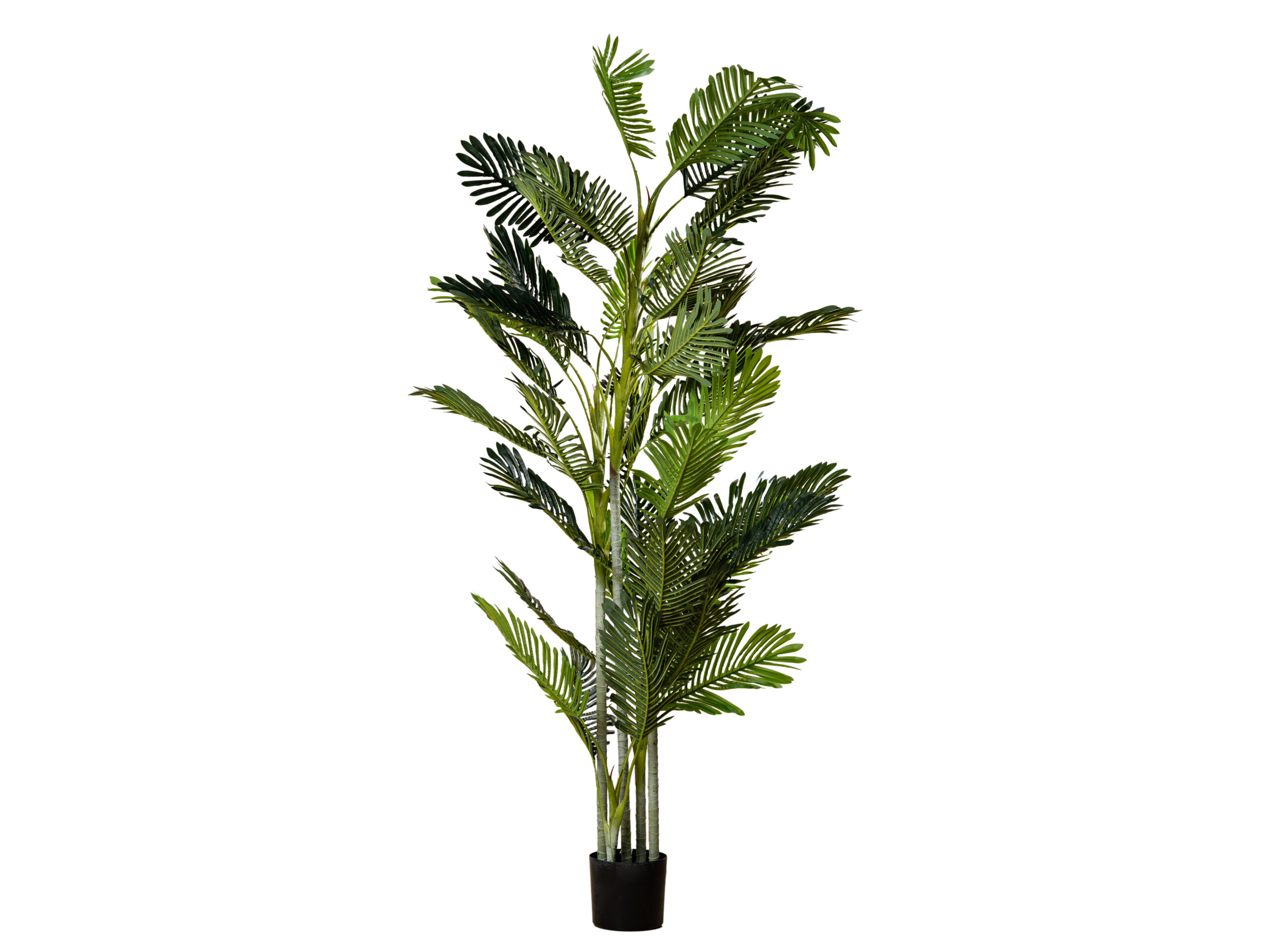 Ethereal Artificial Plant Ethereal Artificial Plant - Image 1